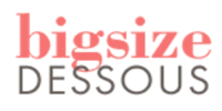 Logo Bigsize Dessous
