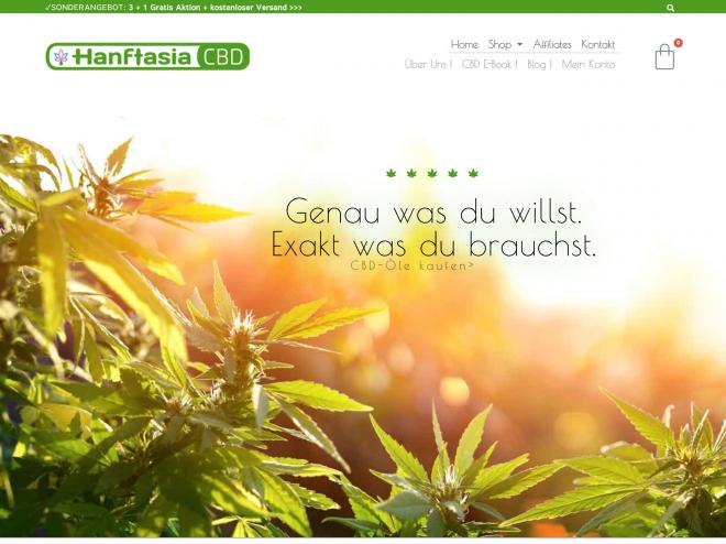 Screenshot des Shops